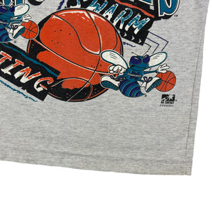 Vintage 90s Charlotte Hornets NBA youth hoodie tee (YM)